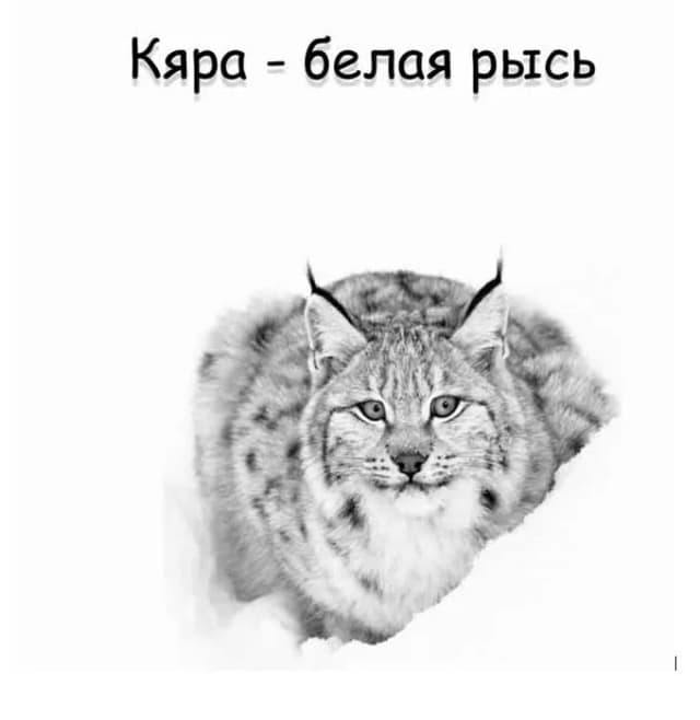 Обложка фанфика Кяра белая рысь