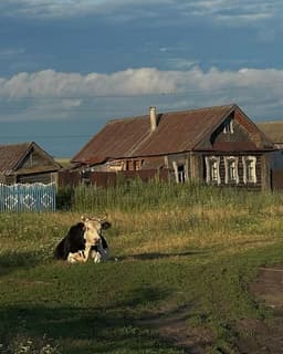 Обложка фанфика На все лето в село «Тихий омут»
