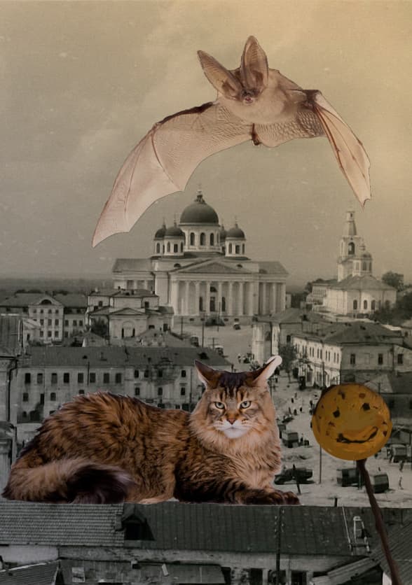 Тотемная зона