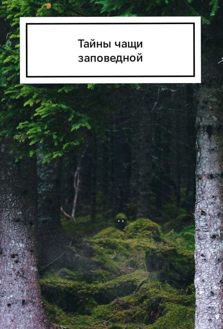 Тайны чащи заповедной