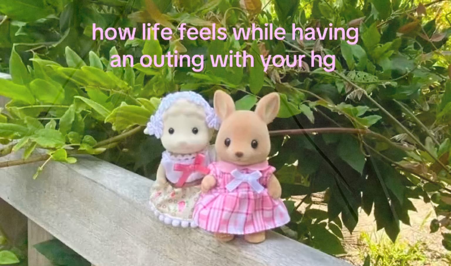 Игрушки Sylvanian Families с подписью: «how life feels while having an outing with your hg»