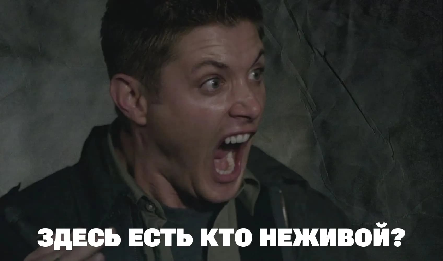 Дженсен Эклз в роли Дина Винчестера в сериале «Сверхъестественное» 