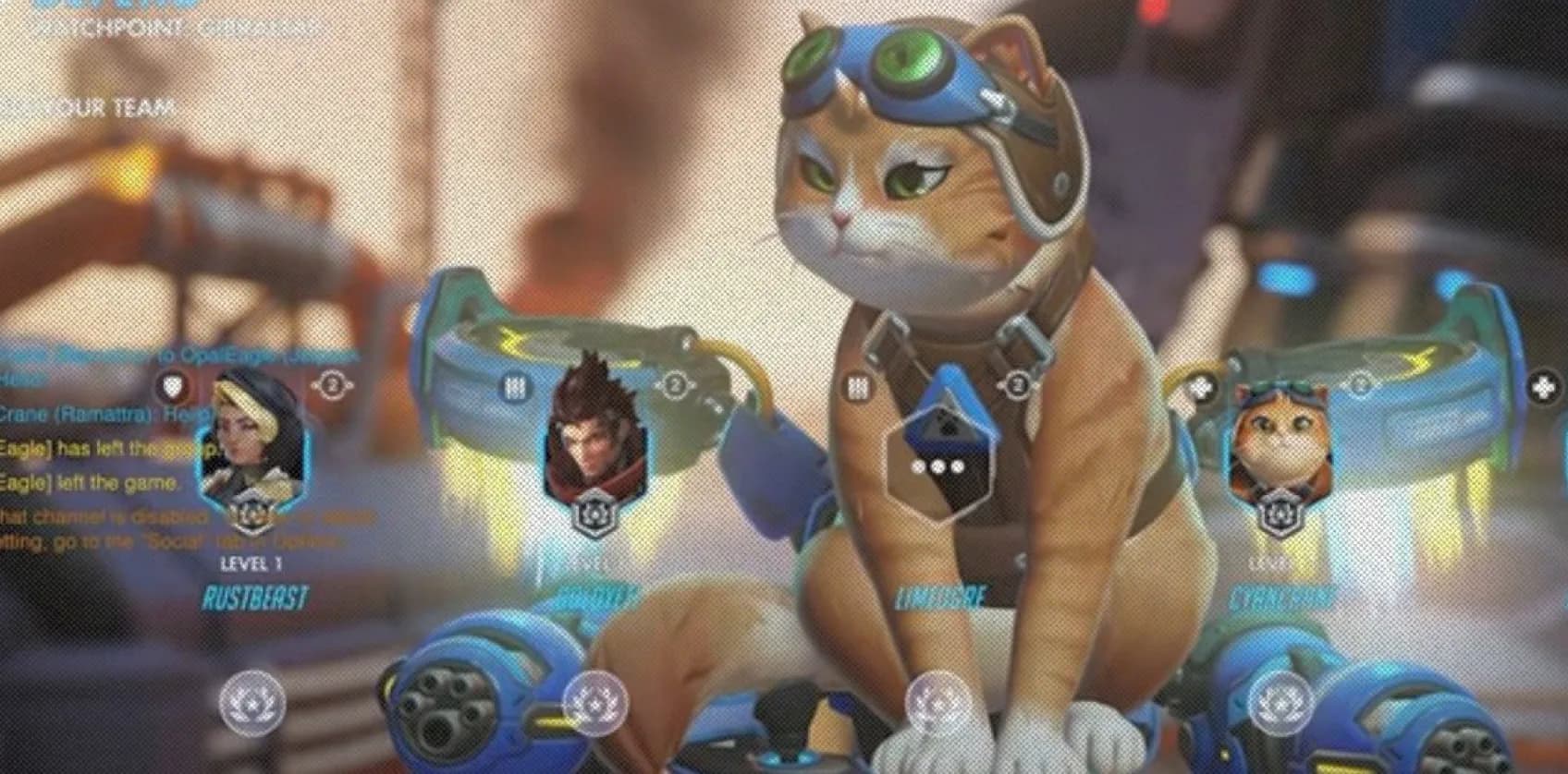 Фанаты Overwatch наряжают котов в Реактивного Кота 