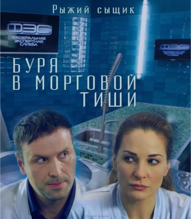 Обложка фанфика Буря в морговой тиши