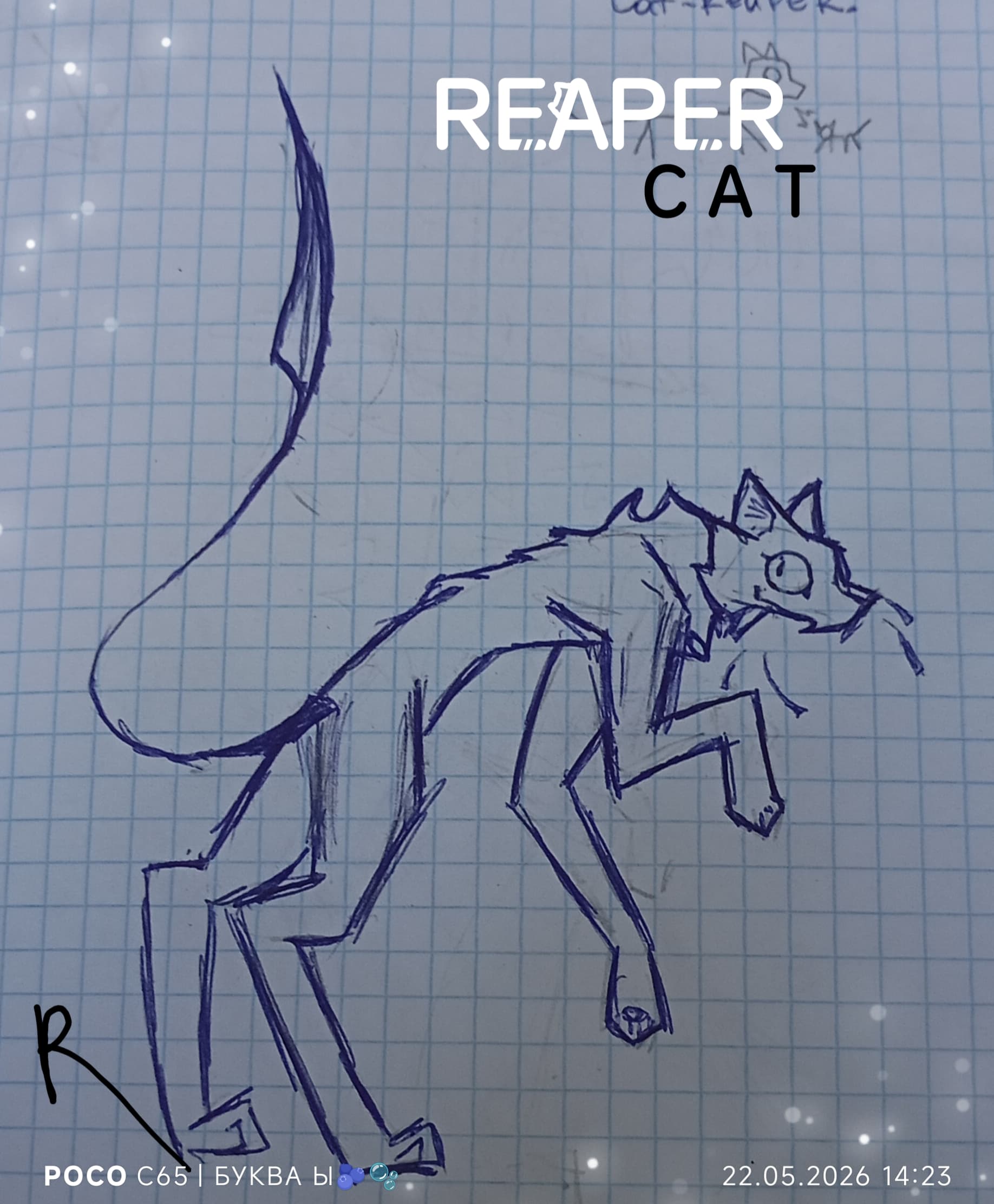 REAPER-CAT/ Кошка Жнец