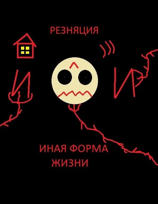 Резняция или иная форма жизни