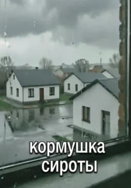 Кормушка сироты