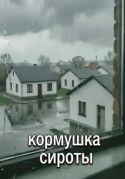 Обложка фанфика Кормушка сироты