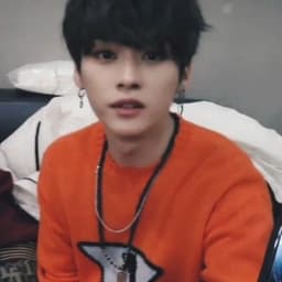 Обложка фанфика Шоу на выживание stray kids