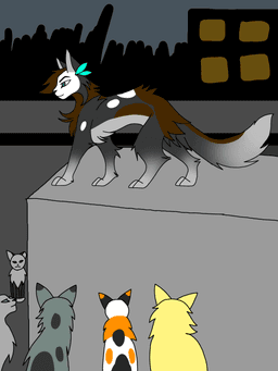 Обложка фанфика Warrior Cats In My Area