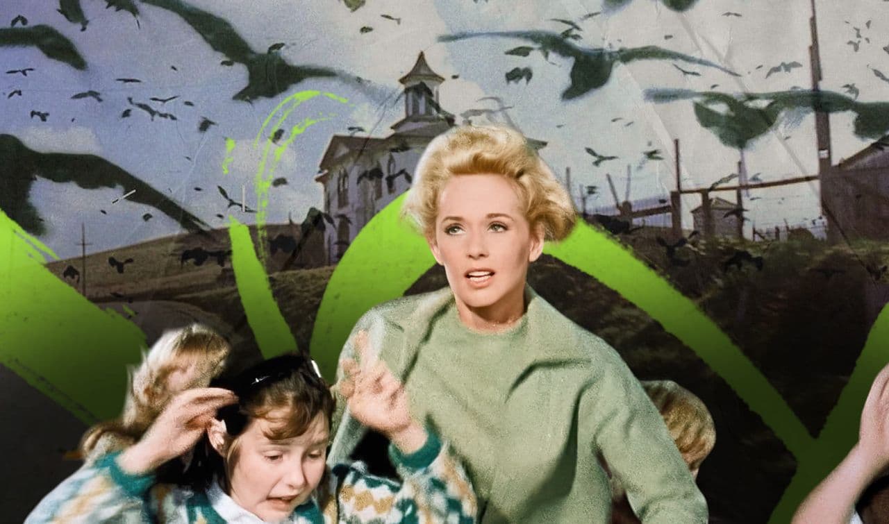 Культовый фильм ужасов Альфреда Хичкока  «Птицы» (1963 г). Главная героиня Мелани Дэниелс, в исполнении актрисы Типпи Хедрен © Universal Pictures Company//Alfred J. Hitchcock Productions