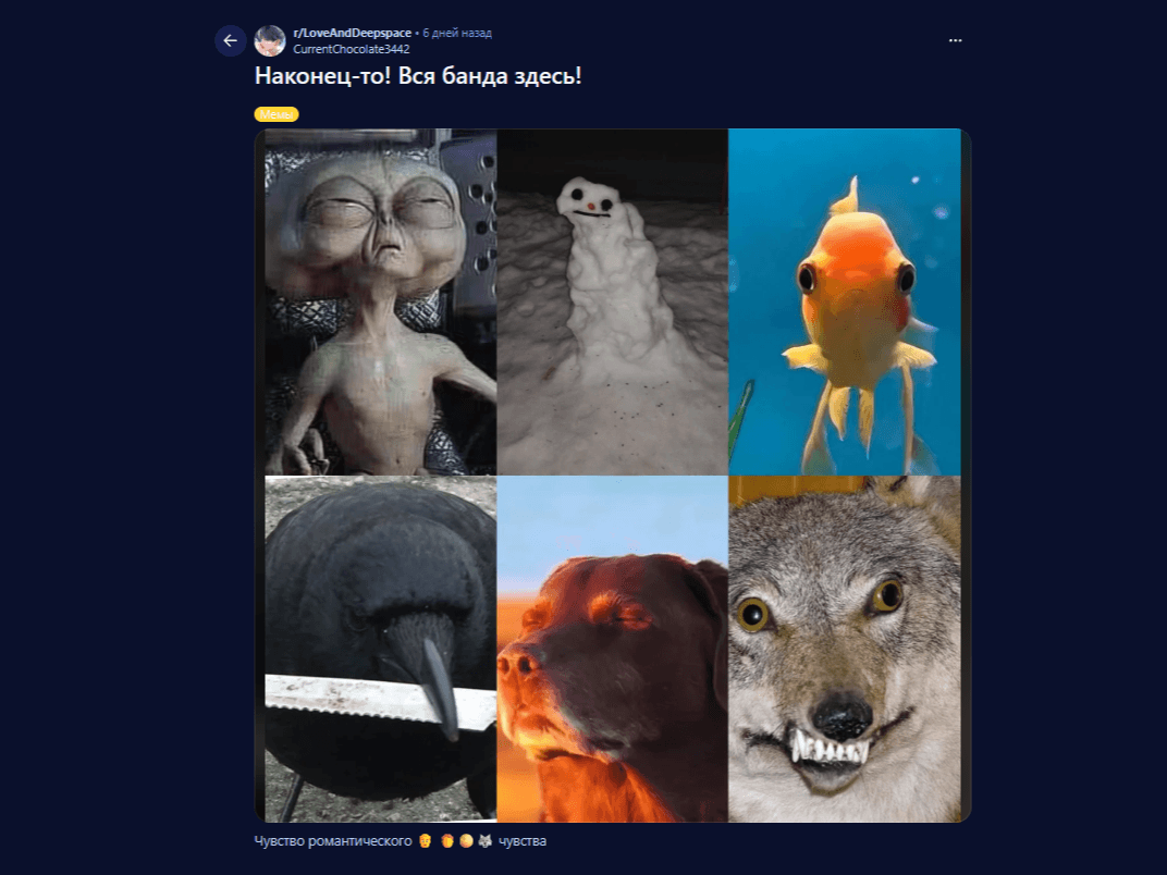 slider-image-2