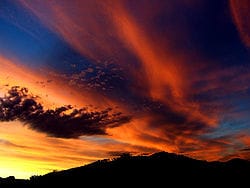 Profile banner