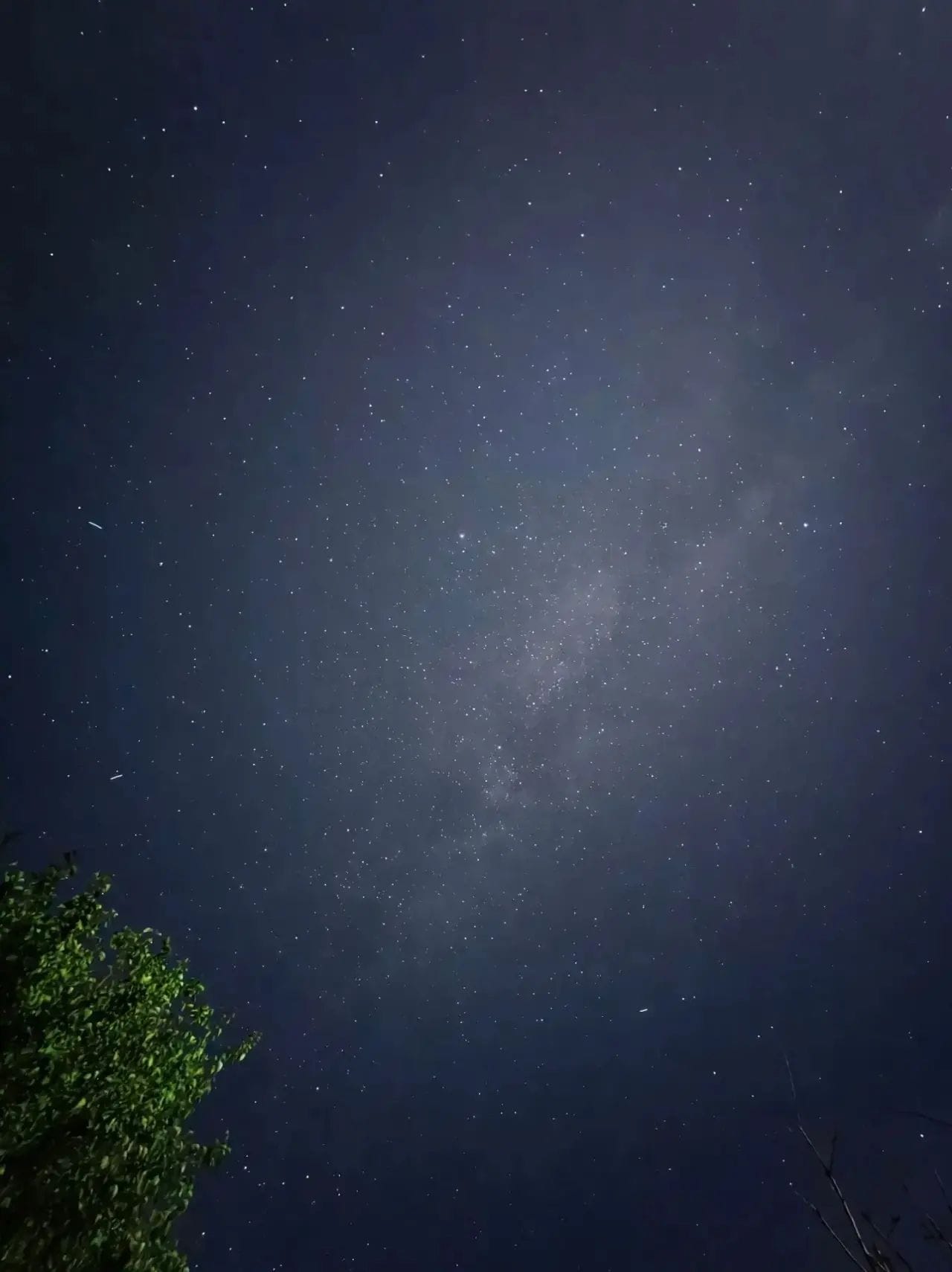 Skyfor
