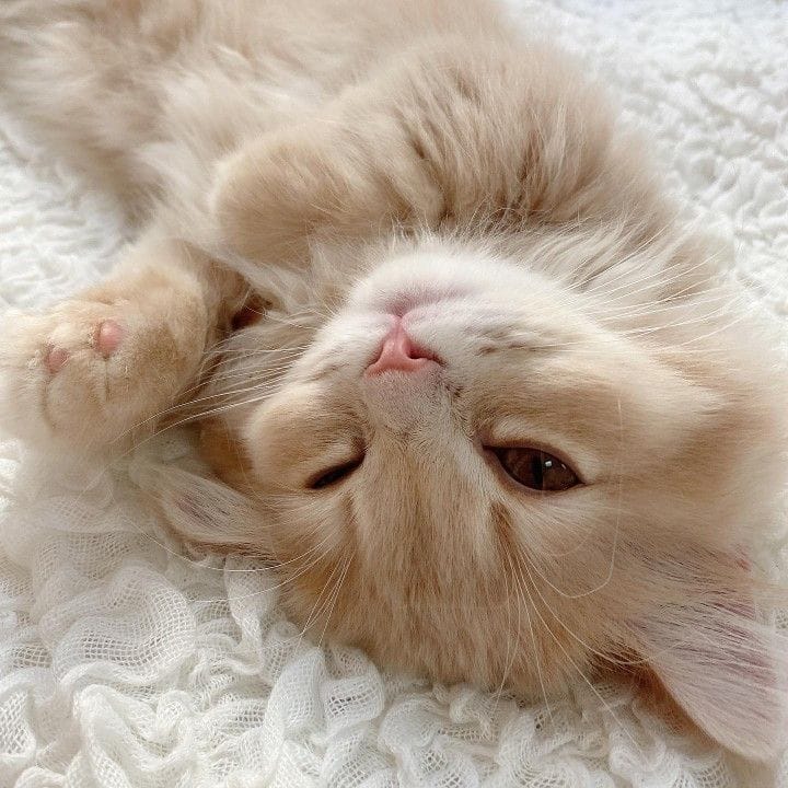 ᴦоᴧди!!:3