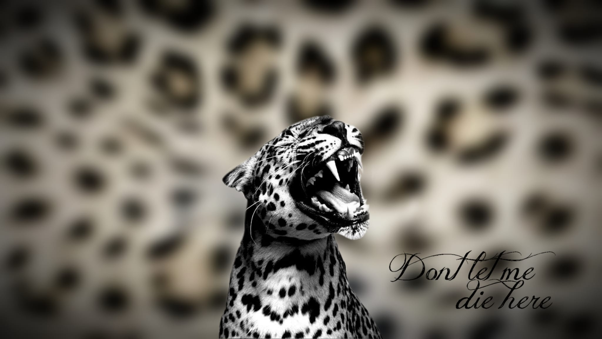Profile banner