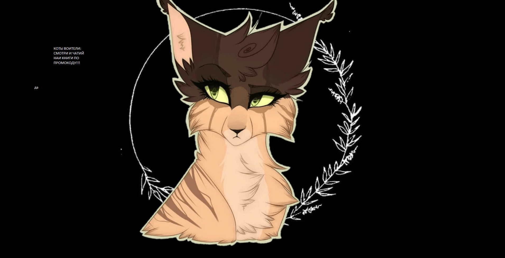 Profile banner
