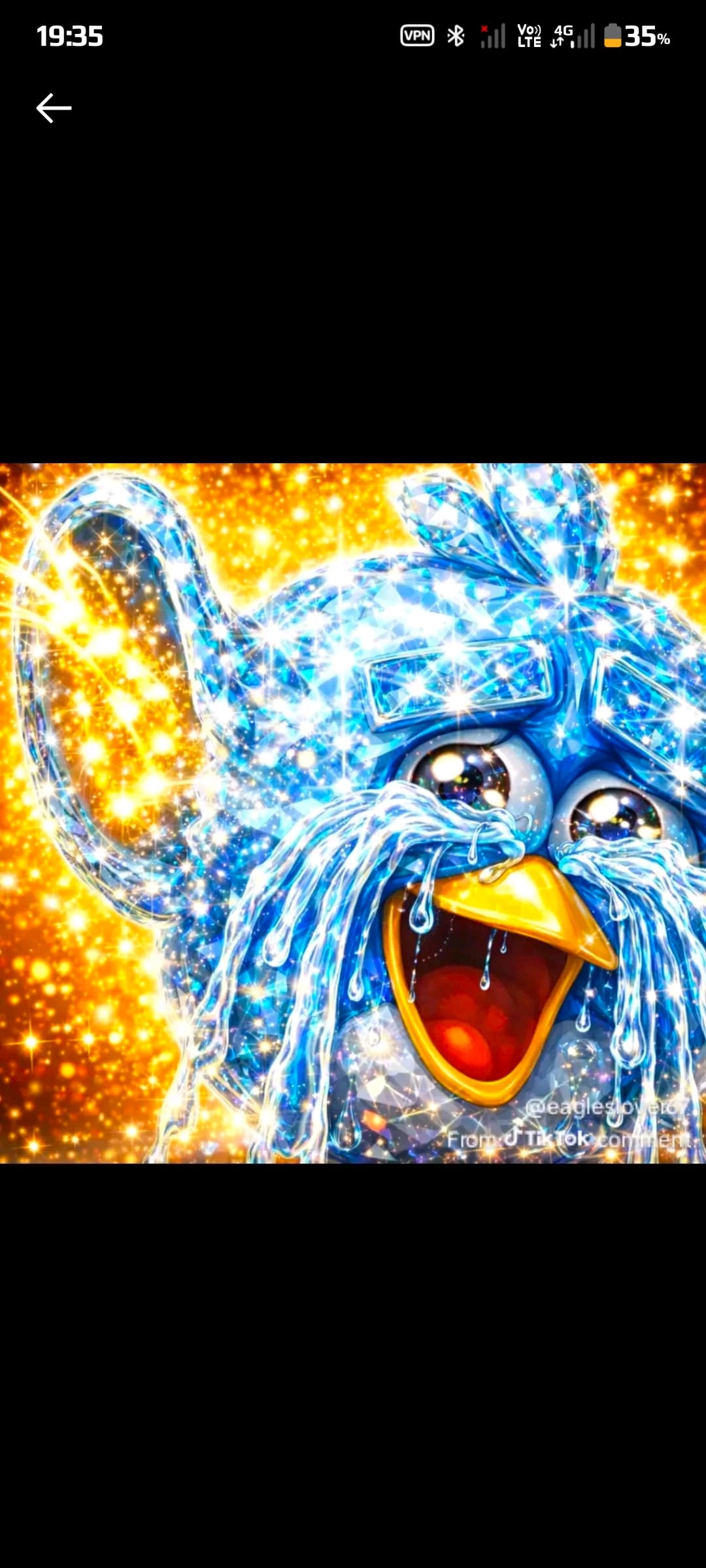 Profile banner