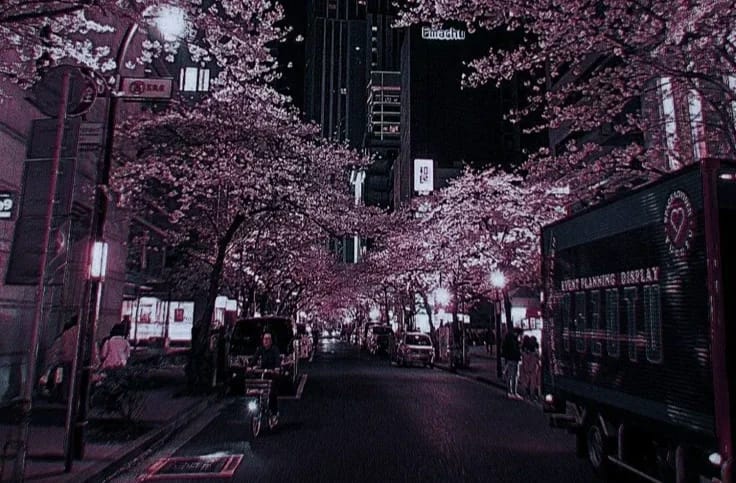 Profile banner