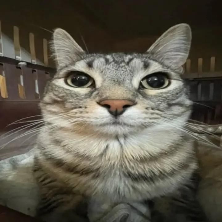 Вентилятор :3