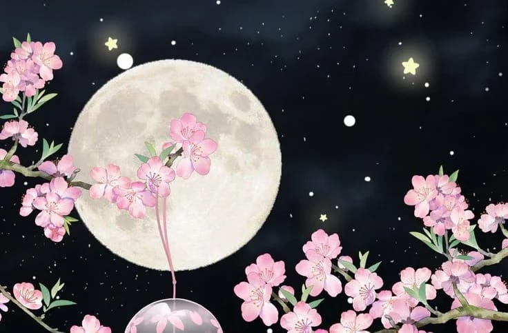 Profile banner