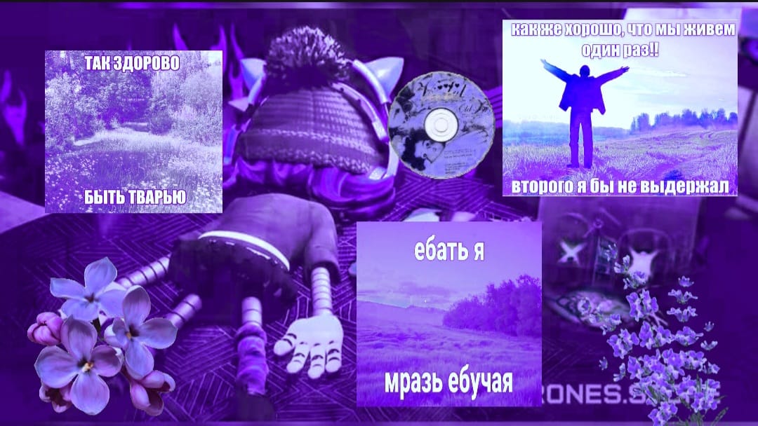 Profile banner