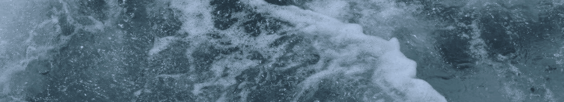 Profile banner