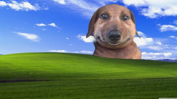 Profile banner