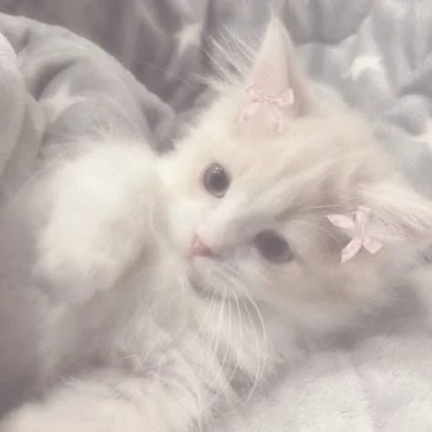 Gigiena