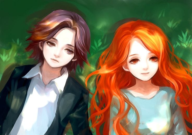 Profile banner