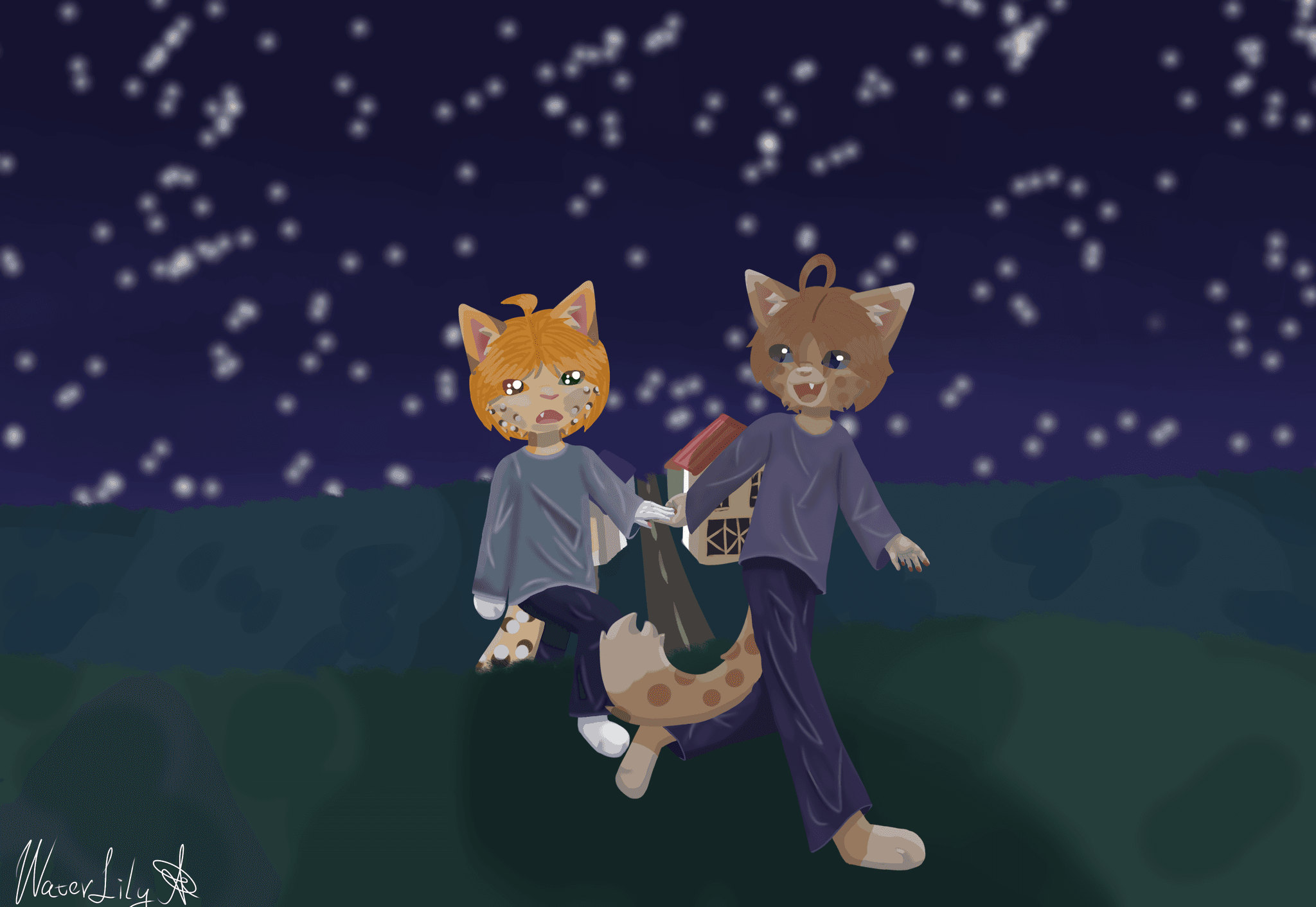 Profile banner