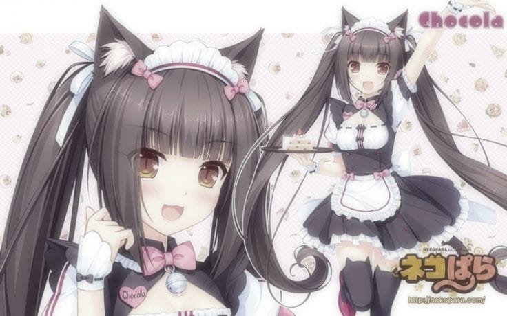 Profile banner