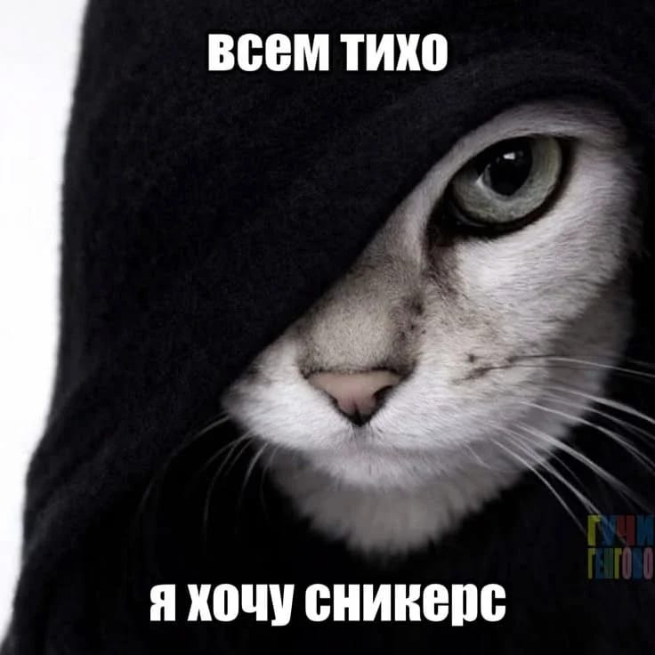 sofiyka