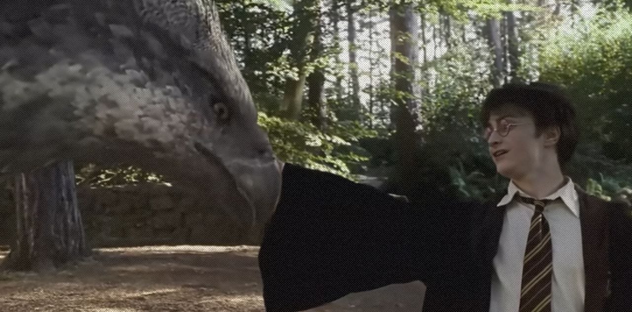 Кадр из ролика Harry Meets Buckbeak (Full Scene) || Harry Potter