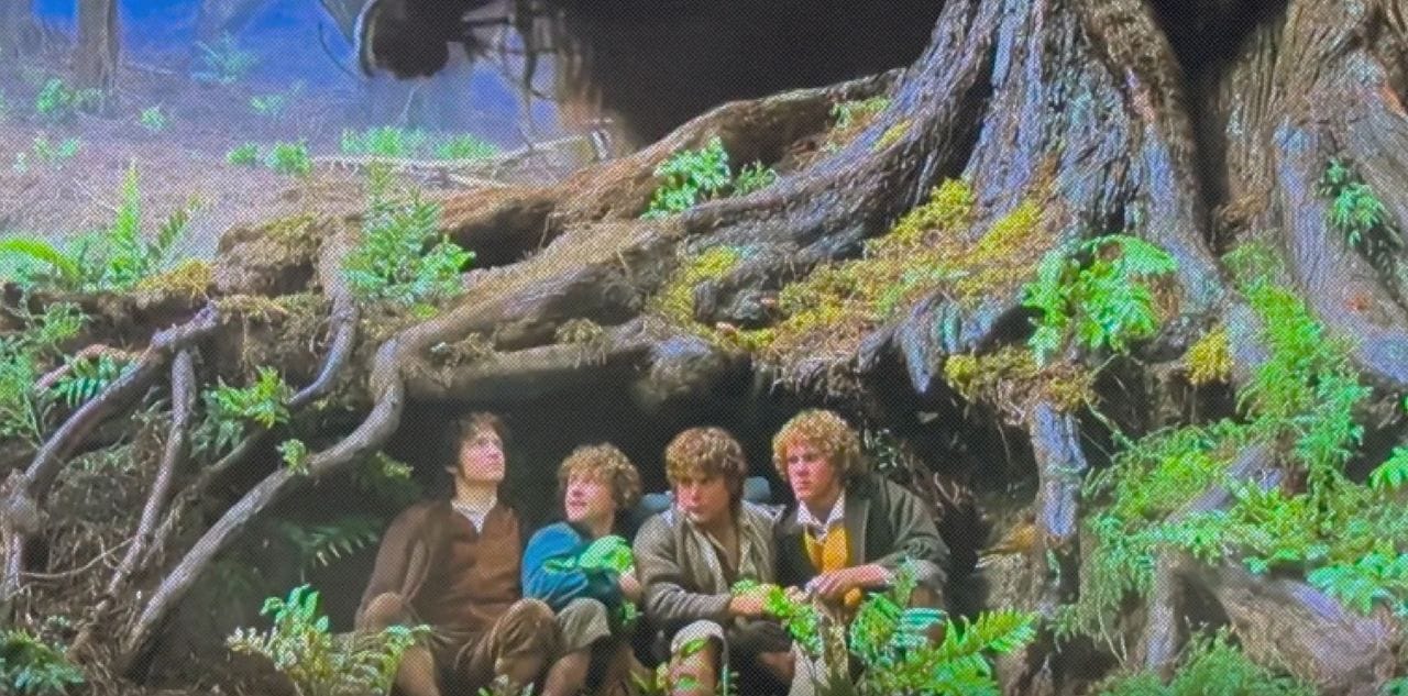 Кадр из сабреддита r/lotr || big_time_yikes