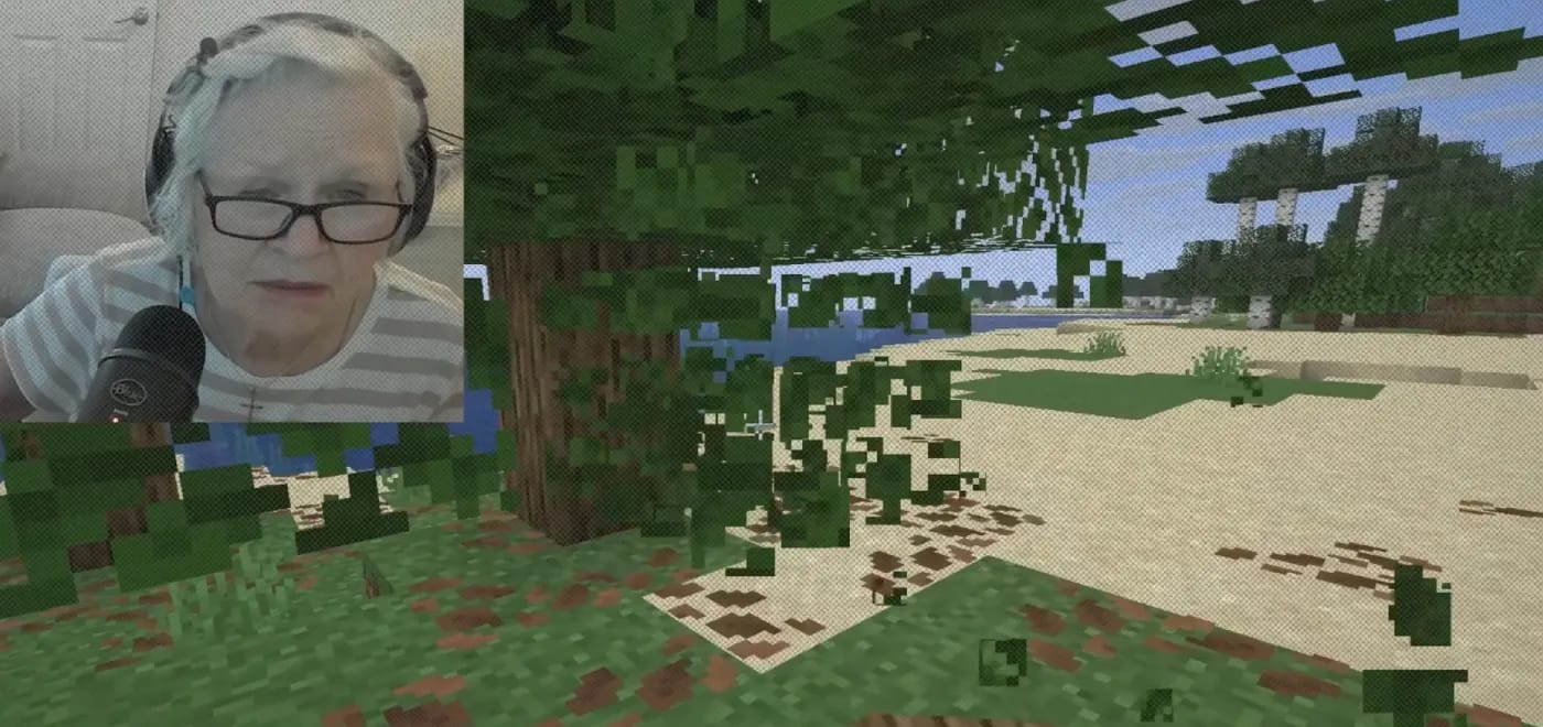 Американская бабушка записывает стримы по Minecraft, чтобы собрать донаты на лечение внука