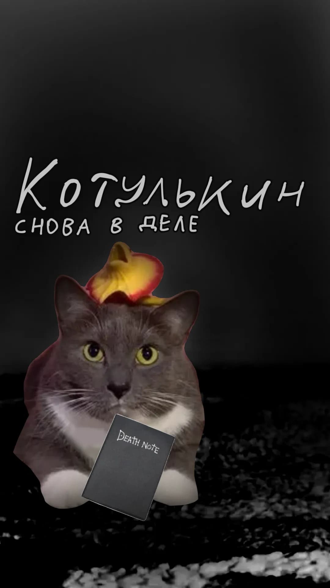 Котулькин снова в деле