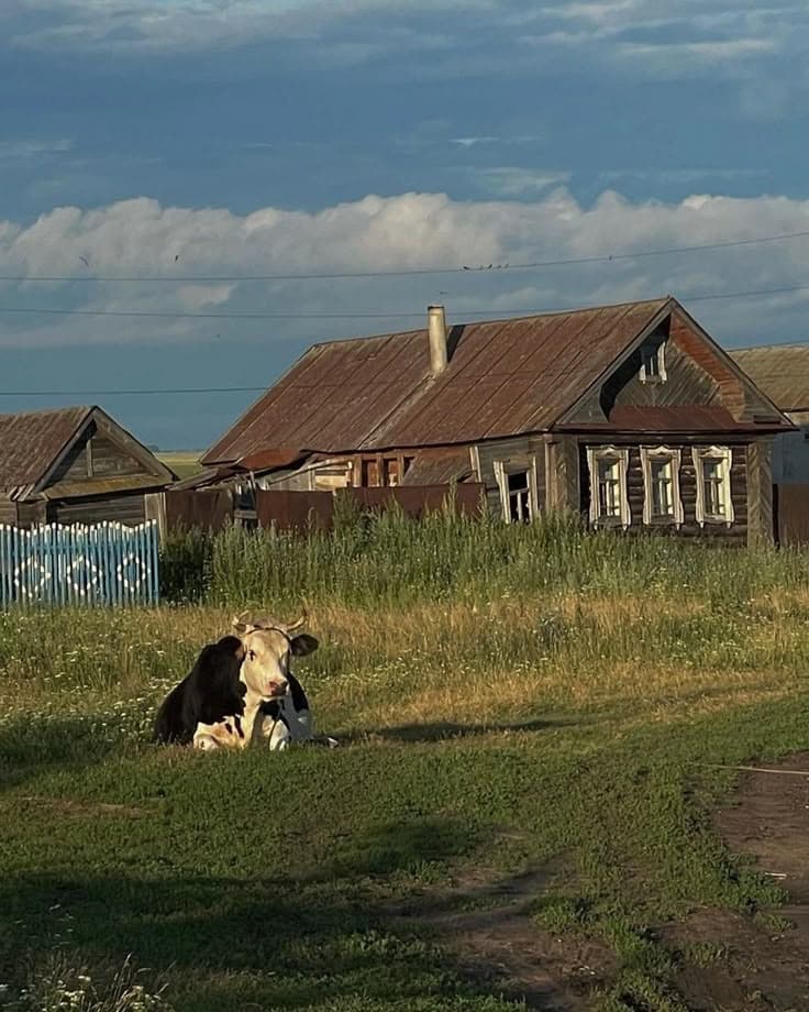 На все лето в село «Тихий омут»