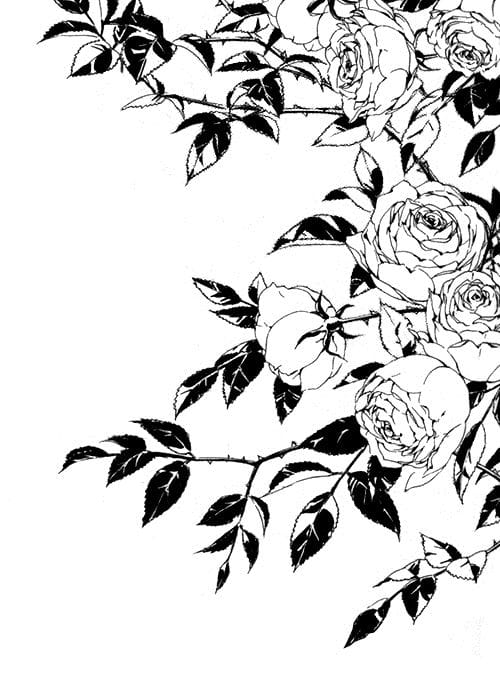 Profile banner