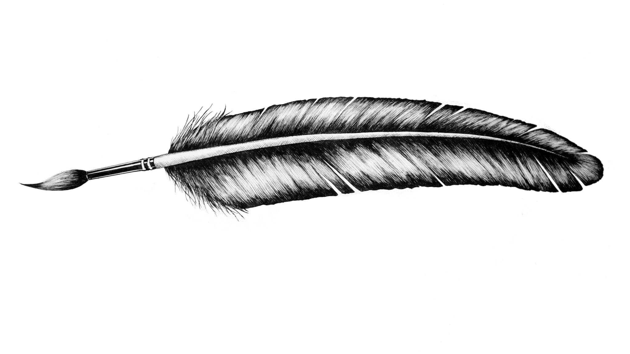 Profile banner