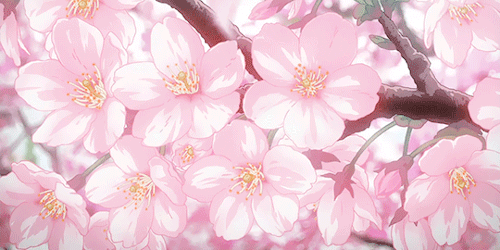 Profile banner