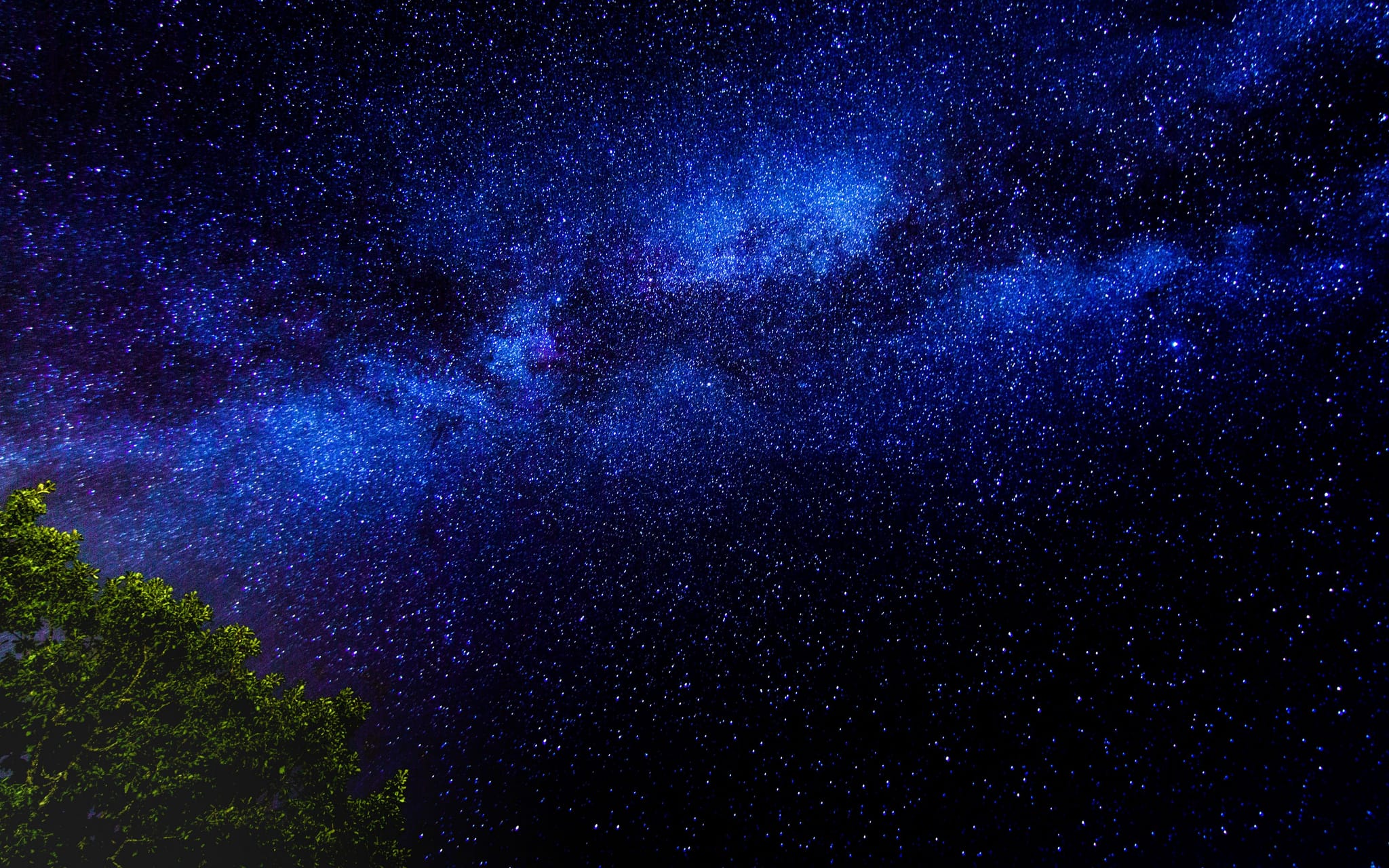 Profile banner