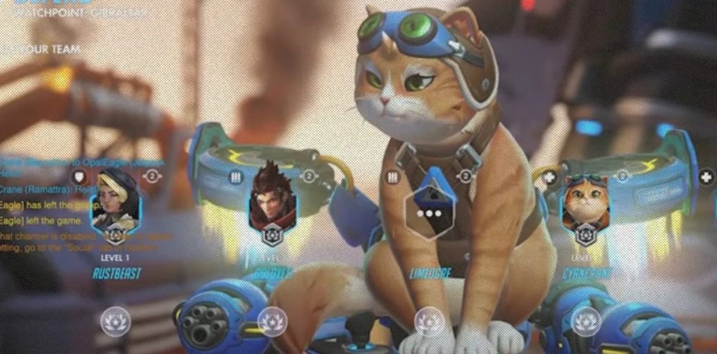 Фанаты Overwatch наряжают котов в Реактивного Кота