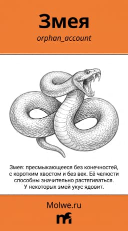 Обложка фанфика Змея