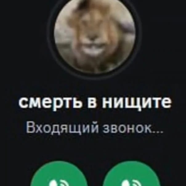 Profile banner