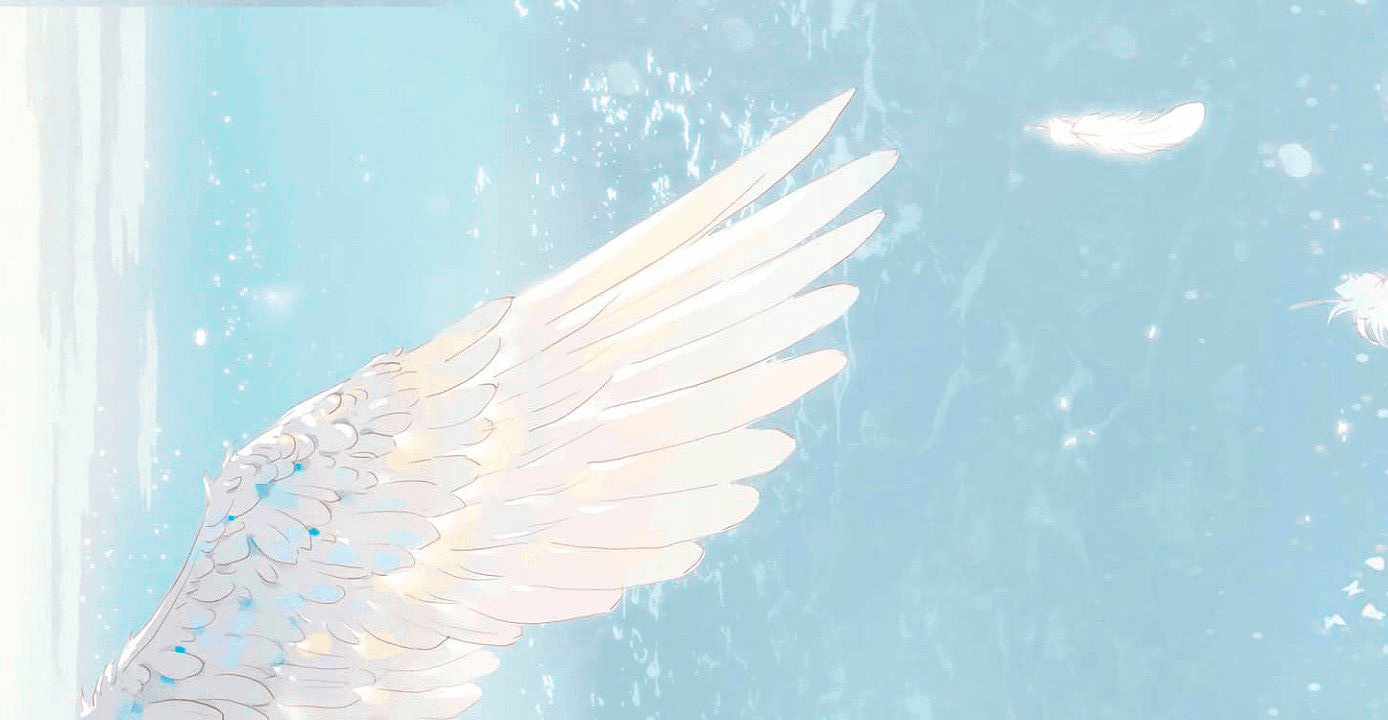 Profile banner
