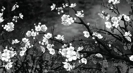 Profile banner