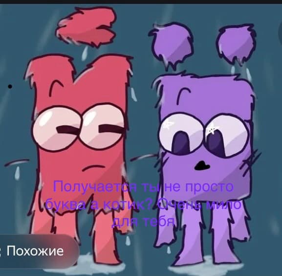 Краткий-кот