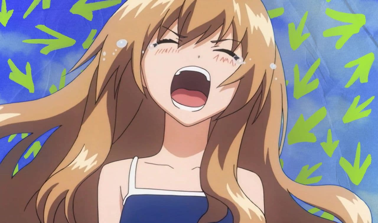 Тайга Айсака (Toradora!)
