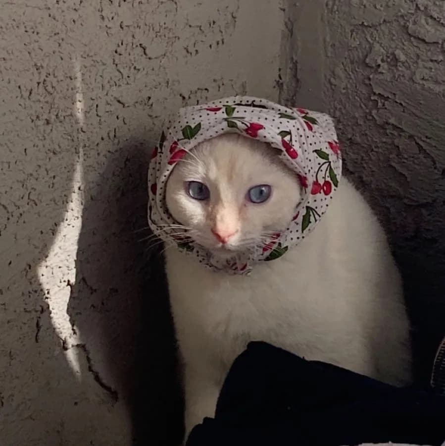Мои хмурые дни....